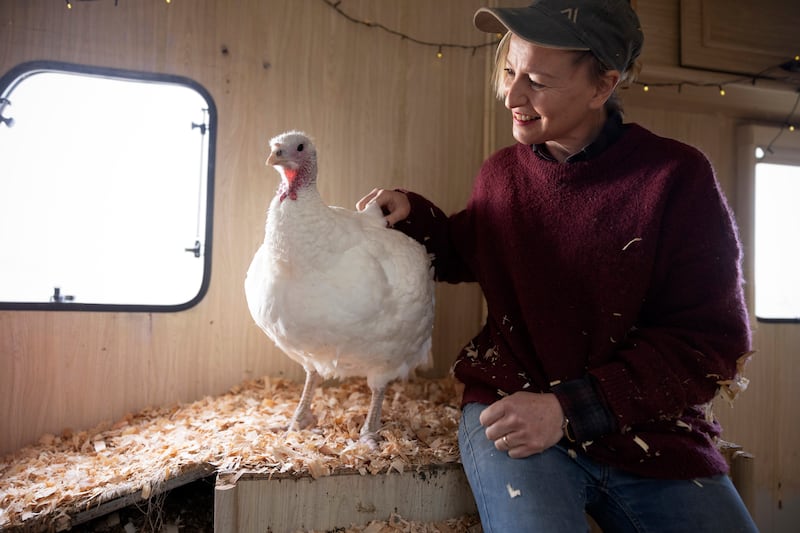 Cathy Davey with Alfreda. Photograph: Chris Maddaloni