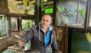 Reptile expert’s warning over ‘surprising’ lack of regulation on exotic pets in Ireland – The Irish News