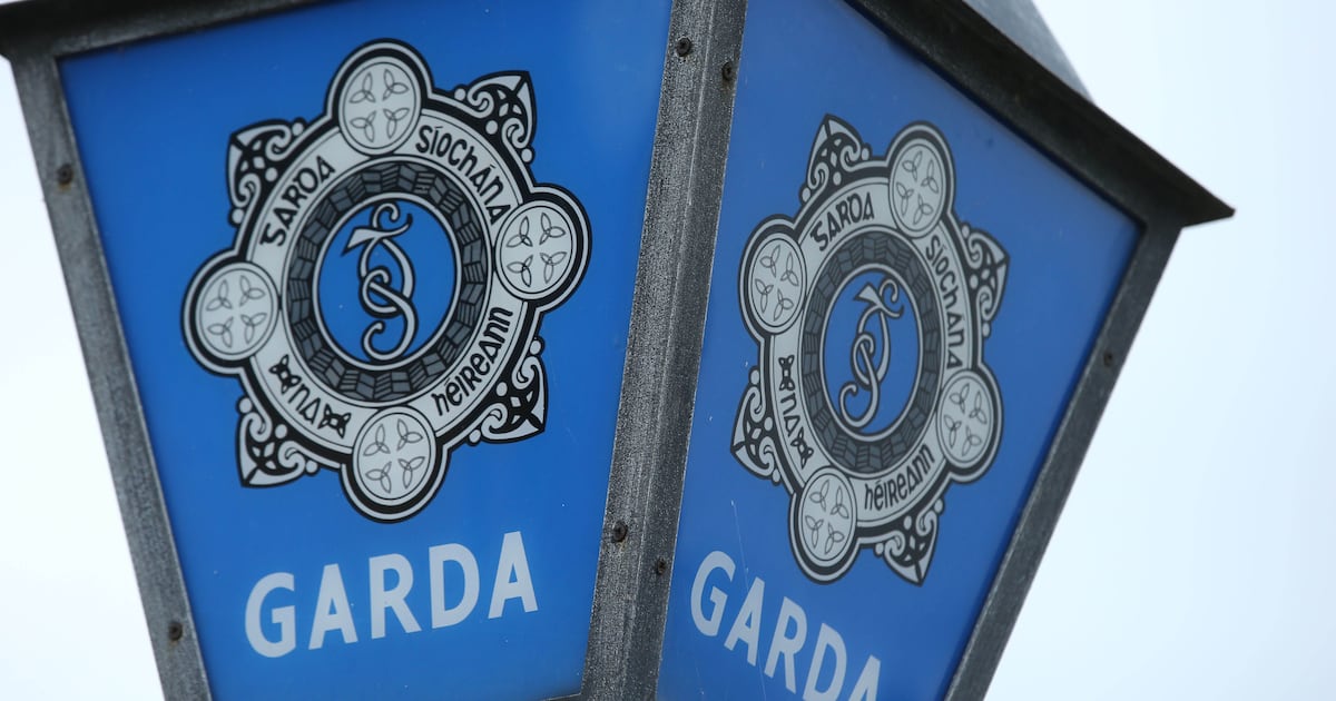 Woman remains in serious condition in hospital following Co Carlow pit bull attack – The Irish Times