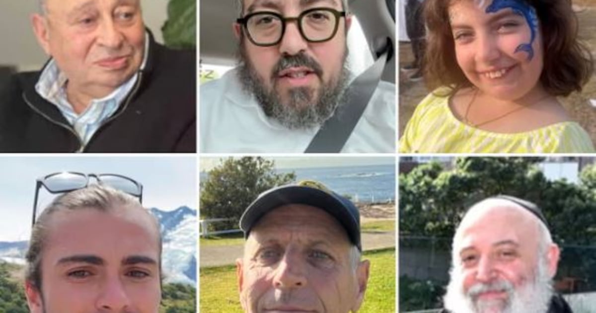 Holocaust survivor, 10-year-old girl and rabbi among those killed – The Irish Times