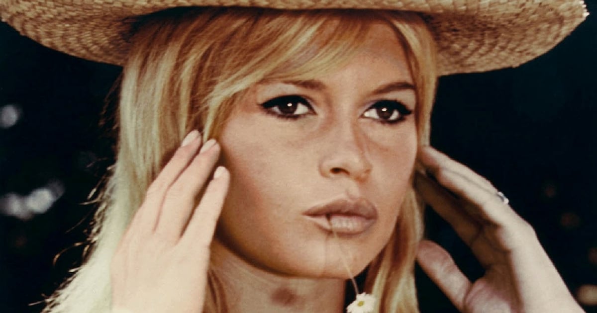 Brigitte Bardot, French actor and animal rights activist, dies aged 91 – The Irish Times