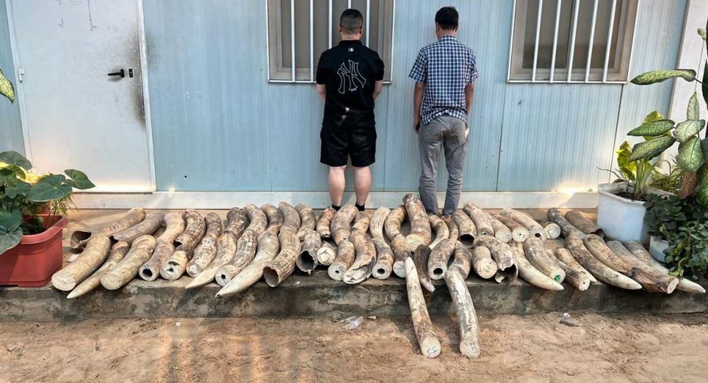 30,000 Animals Rescued from Illegal Captivity in the Largest Wildlife Trafficking Raid in History