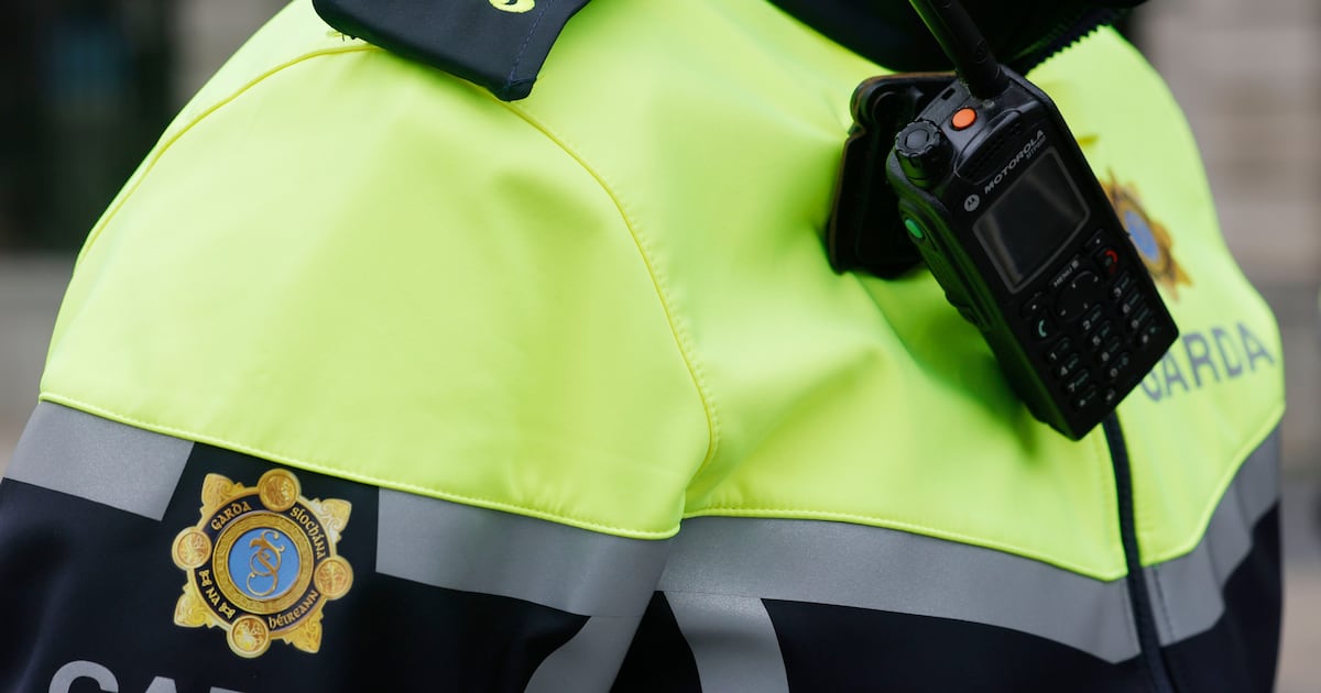 Young man dies in suspected hunting accident in Carlow – The Irish Times