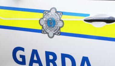 Man jailed for four years after hitting garda with car and reversing toward him – The Irish Times