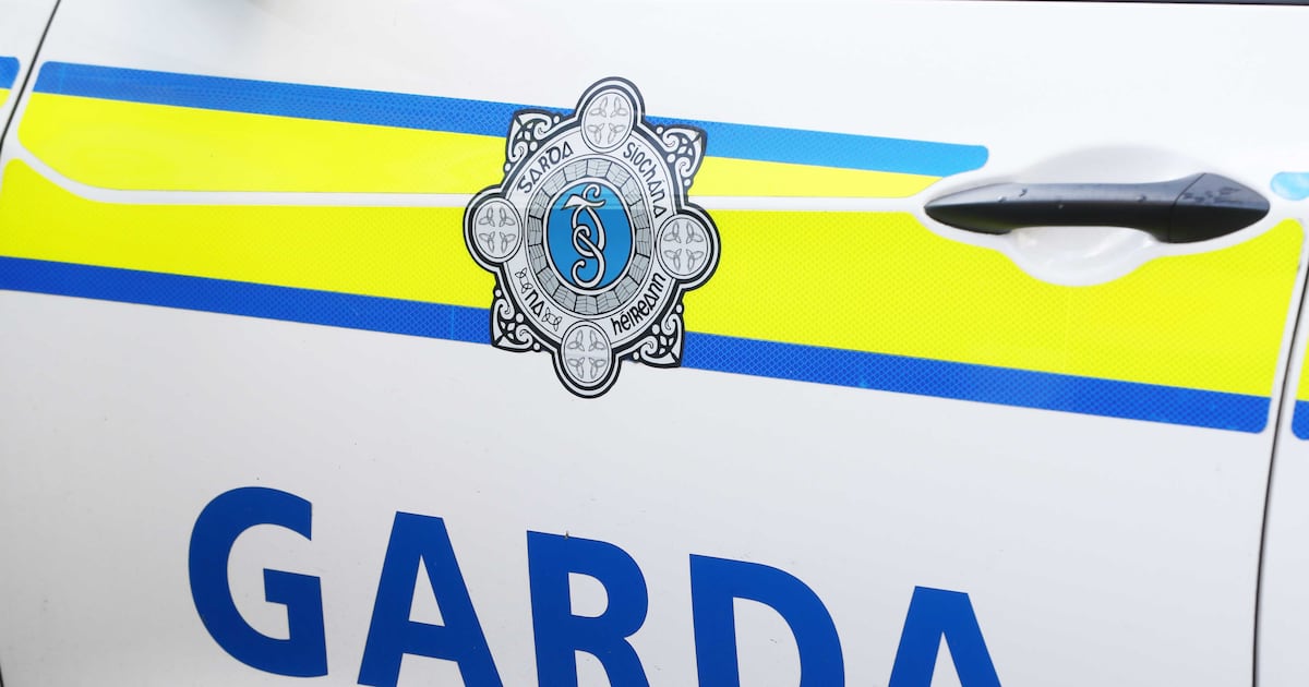 Man jailed for four years after hitting garda with car and reversing toward him – The Irish Times