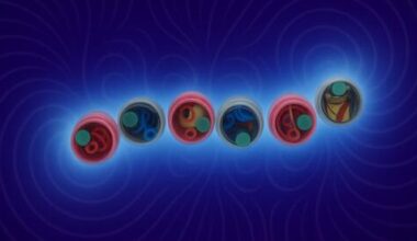 Israeli study reveals how spinning particles self-assemble