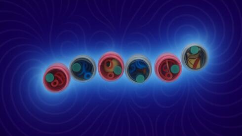 Israeli study reveals how spinning particles self-assemble