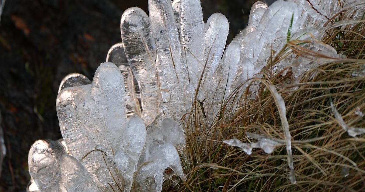 ‘Frosty’ New Year’s Eve in store as cold spell of weather forecast – The Irish Times