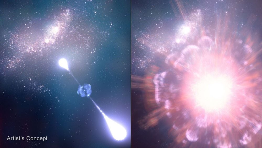 These artist's illustrations show an ancient Gamma-Ray Burst (left) only 730 million years after the Big Bang, that was detected in March, 2025. Its jets are a telltale sign of a GRB. The illustration on the right shows the supernova responsible for the GRB. Image Credit: NASA, ESA, CSA, STScI, Leah Hustak (STScI)