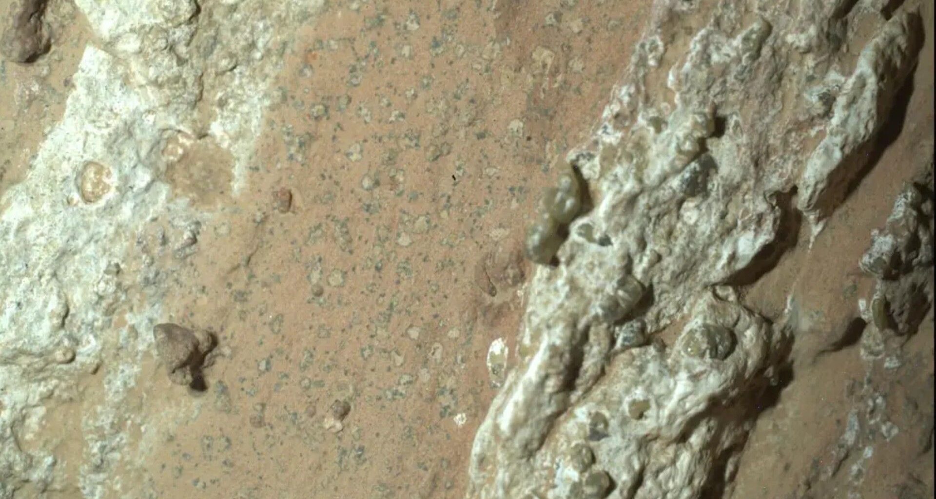 A closeup of "leopard spots" on Mars seen by the Perseverance rover.