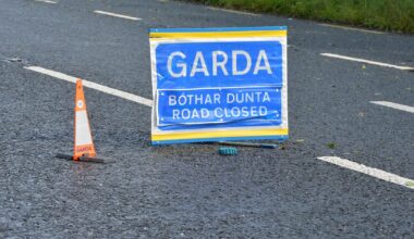 Infant dies from injuries days after Louth crash – The Irish Times