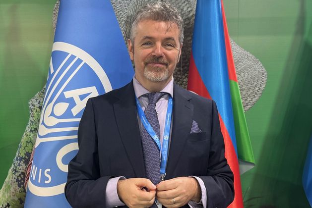 University of Galway professor appointed to UN role in historic moment for Ireland