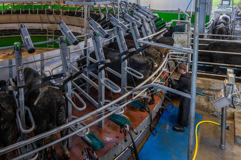 John has no expansion plans