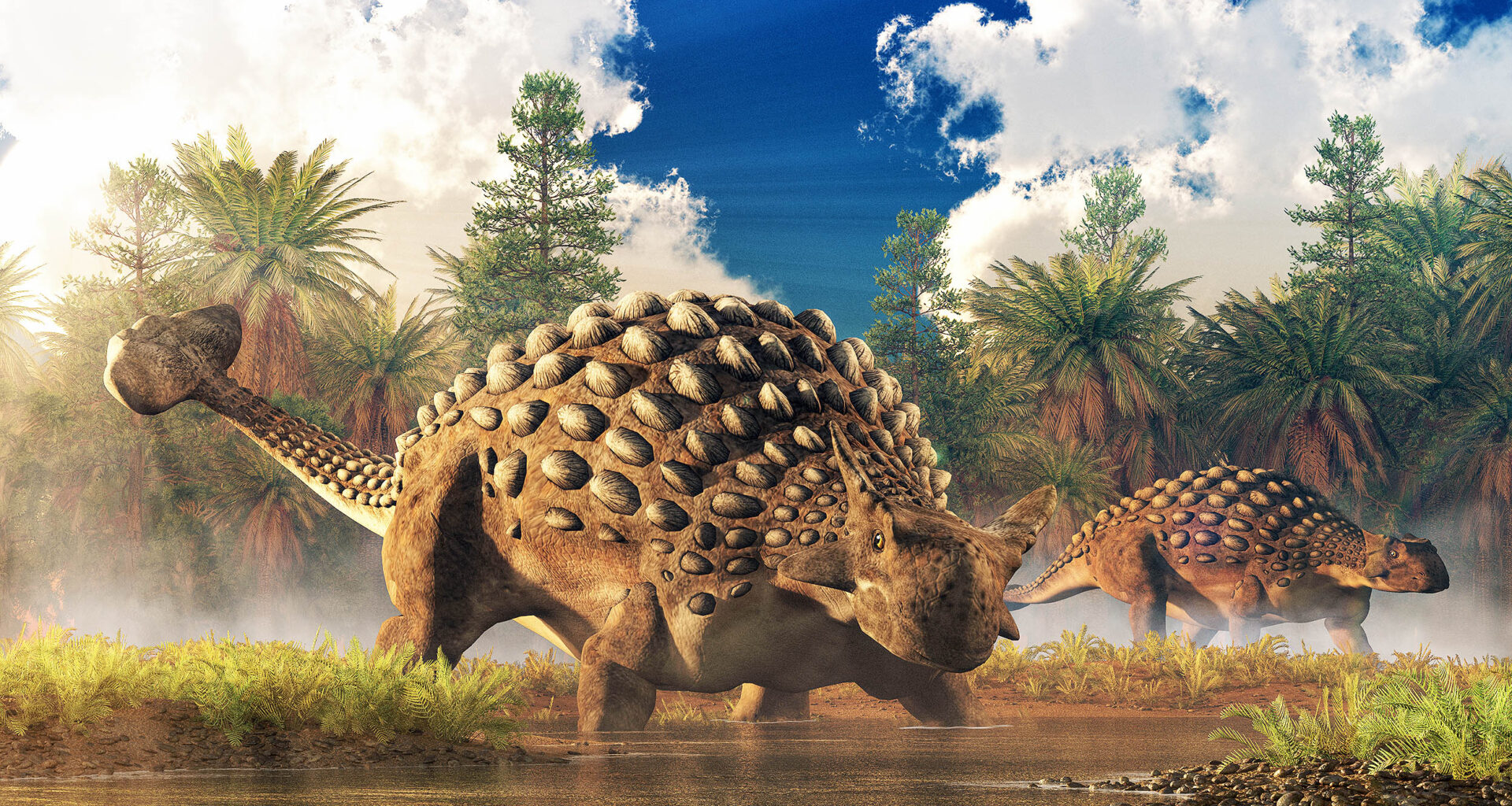 Dinosaur fossils show that some species were armored at birth