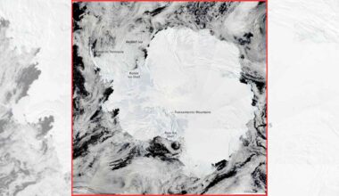 Satellite view of Antarctica showing major ice shelves, the Antarctic Peninsula, and surrounding Southern Ocean ice.