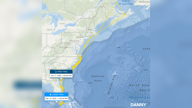 Danny's most recent ping in the Florida Keys on OCEARCH's shark tracker.