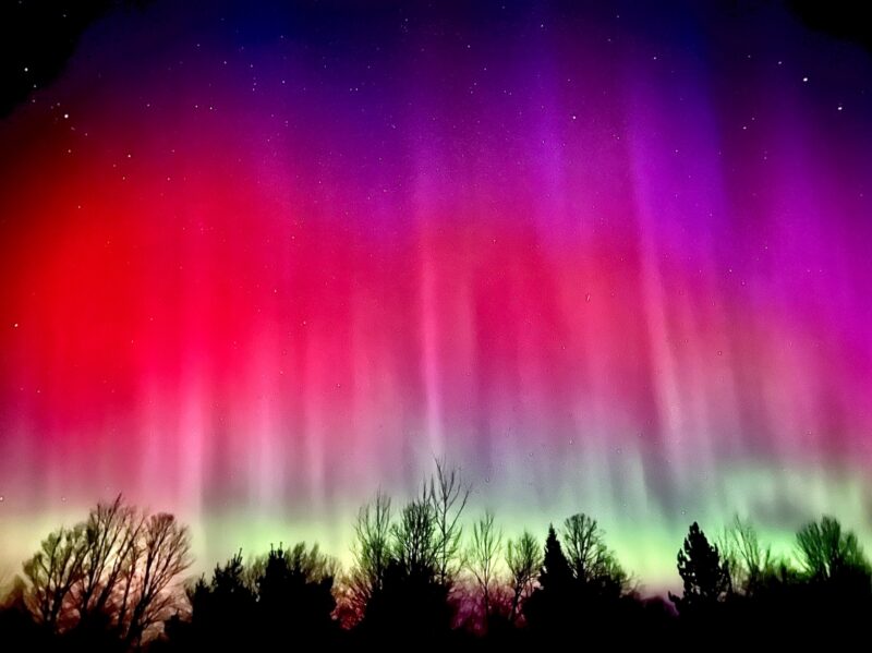 Trees below with streaks stretching upward covering the sky, greenish at bottom with shades of red and pink above.