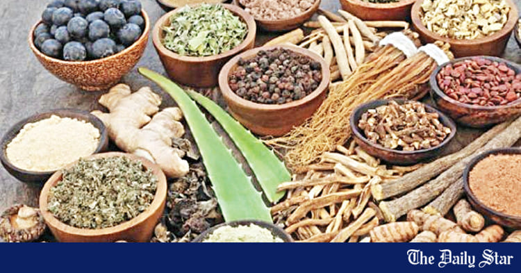 Ayurvedic medicine Bangladesh | Bangladesh’s untapped goldmine: Why Bangladesh is missing the ayurvedic market boom