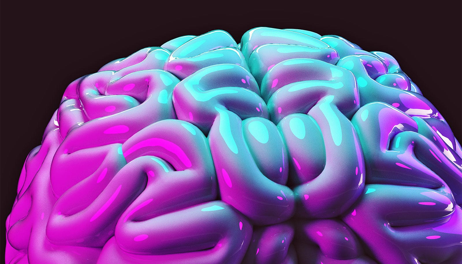 Tool uses light to measure activity in living brain cells