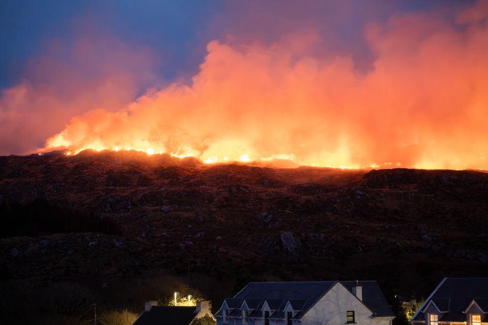 The blaze above Caherdaniel. Photo by Ruth Brophy
