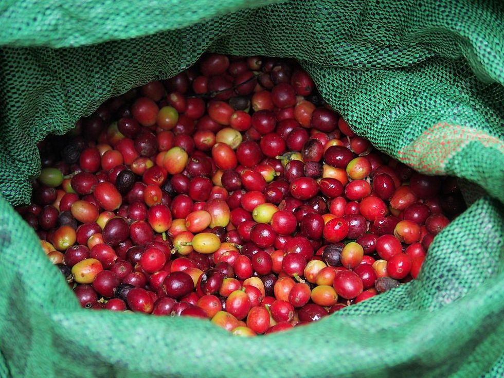 Coffee beans
