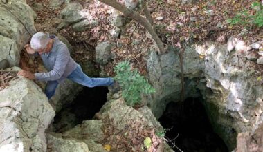 Cave of Wonders: Where Prehistoric Bees Made Nests in the Bones of Animals Eaten by Colossal Owls