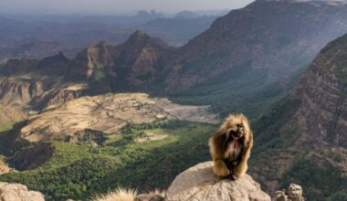 The Great Rift Valley: A photographer’s epic exploration