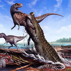 "Reaper in Paradise," an artist's rendering showing Deinosuchus schwimmeri emerging from the water and preying on an Appalachiosaurus. Credit: Bob Nicholls
