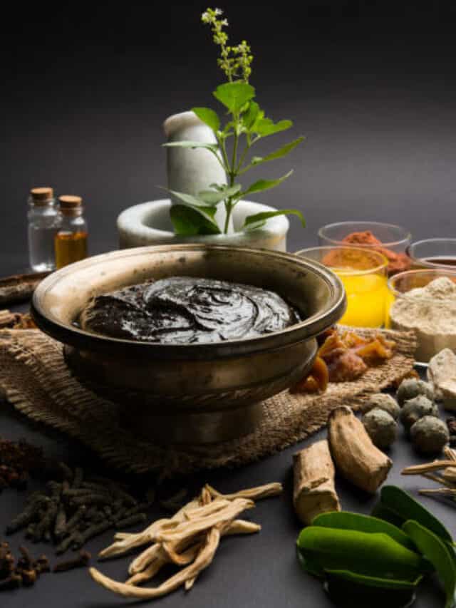 Homemade Chyawanprash Recipe To Strengthen Immunity Against Seasonal Pollution