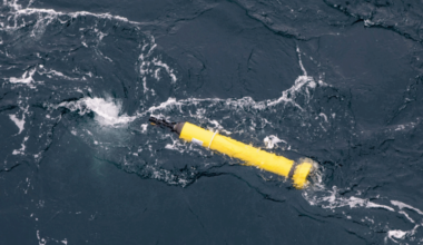 This Tiny Robot Was Lost in Arctic Waters for Months. Now It's Back With Some Unique Data