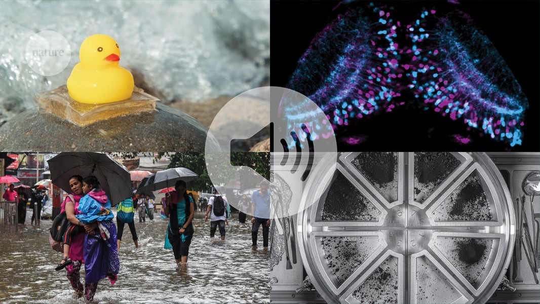 Nature's News & Views roundup of 2025