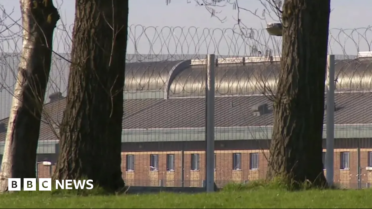 In the foreground of the image is a grassy bank and three trees, in the background there is a barbed wire fence, and behind it a large building with lots of windows
