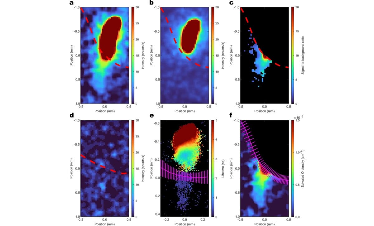 Direct Imaging Of Ground State Atomic Oxygen In Water Using Femtosecond Two Photon Absorption Laser Induced Fluorescence.