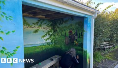 Landulph bus shelter gets artistic makeover