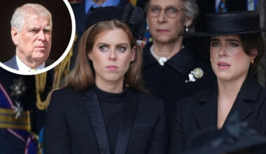 Yahoo entertainment home