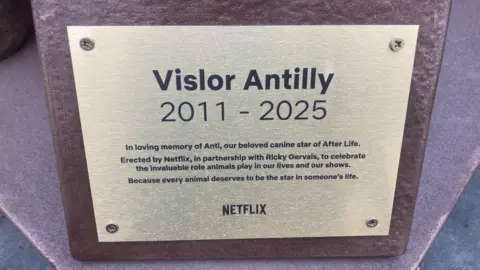 Justin Dealey/BBC The plaque on the statue has Vislor Antilly's name in large bold text with the years "2011 to 2025".