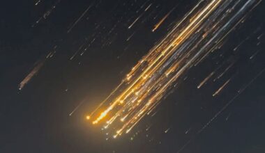 Elon Musk's Starship Explosion Endangered Hundreds of Airline Passengers