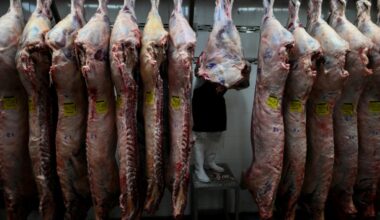 Meat-loving Argentines shun beef as inflation bites