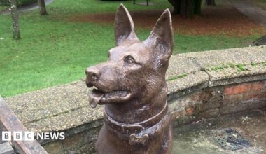 A wooden bench with the engraved words “HOPE IS EVERYTHING” on the seat is next to a bronze statue of a German shepherd dog.