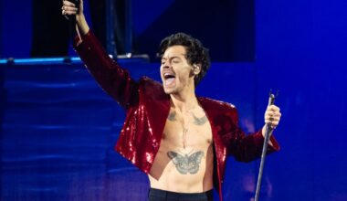 Is Harry Styles Teasing His Next Album? What His Video Means