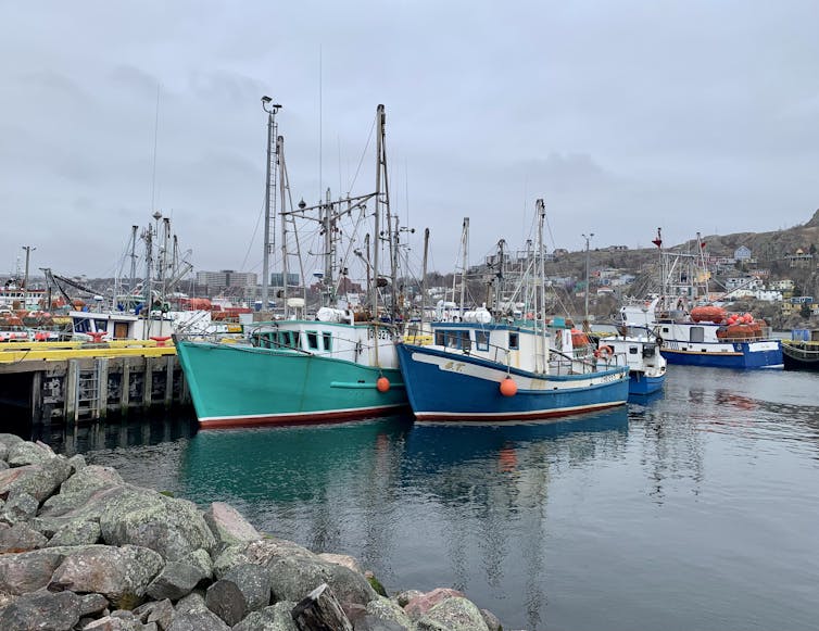 fishing boats moored in a harbour