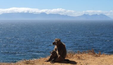 what’s worked – and what hasn’t