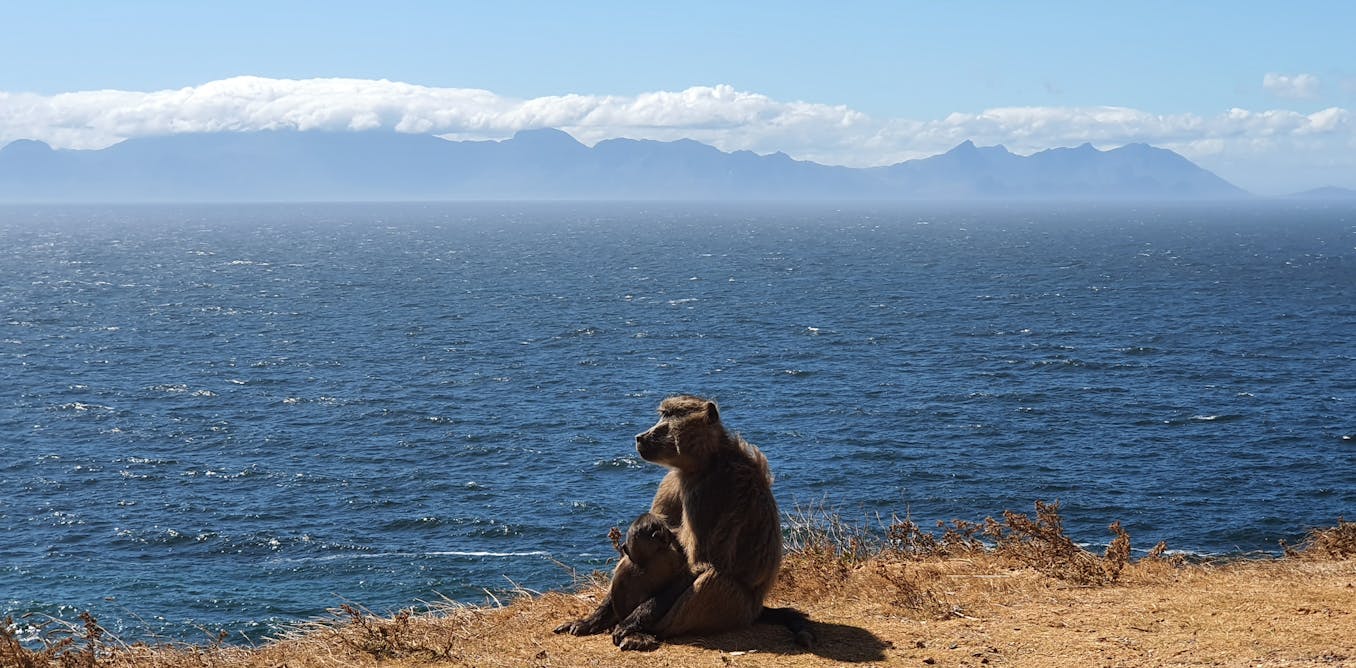 what’s worked – and what hasn’t