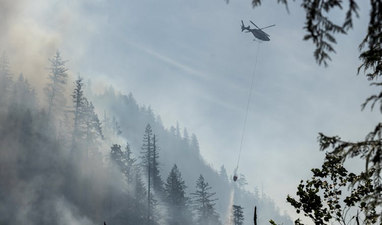 A helicopter drops water on a hilly, smoking forest.