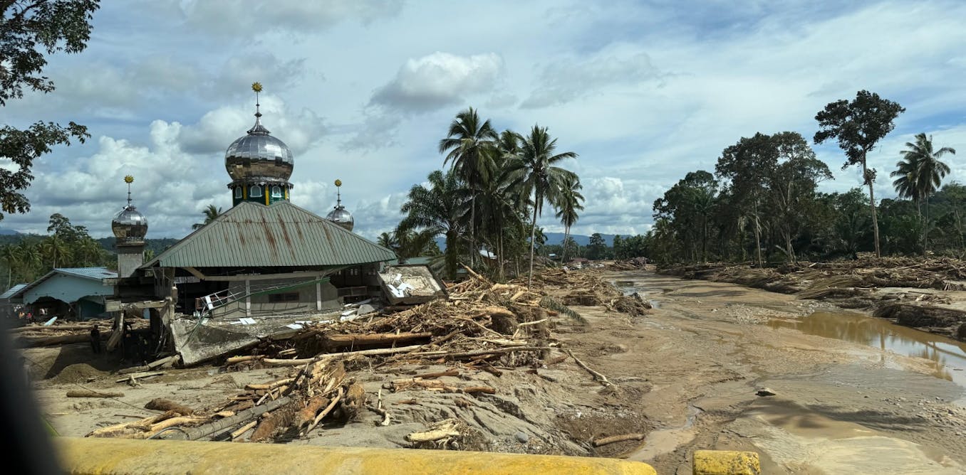 How deforestation turned a cyclonic storm into a likely recurring tragedy