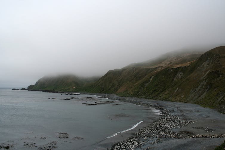 A cloud-shrouded island.