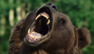 fact-based nature run amok movie gets a January release