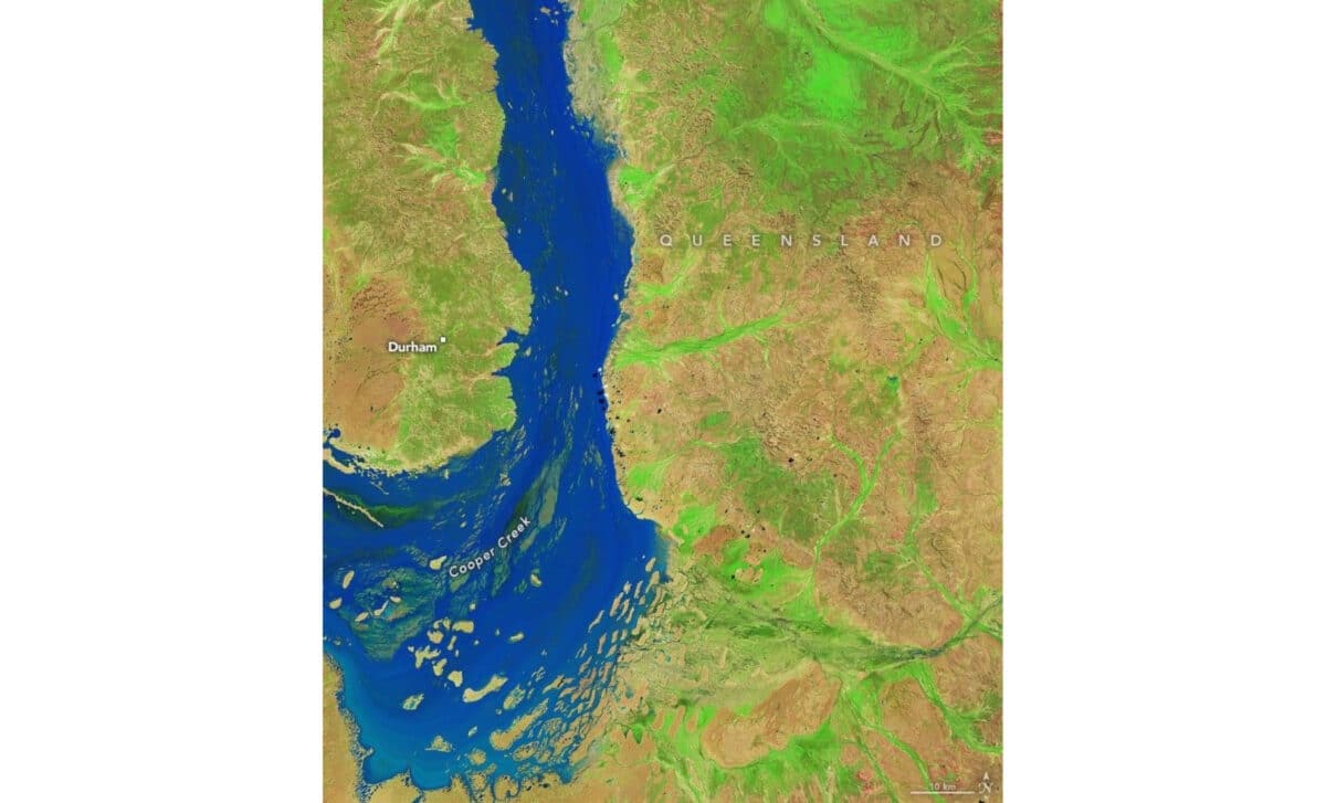 Heavy Rain In Queensland Sent Floodwaters Coursing Through The Australian Outback. Carpets Of Green Emerged In Their Wake