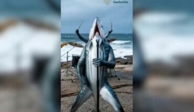 Údarás na Gaeltachta's AI competition faces backlash from artists