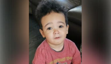 Woman (20s) arrested in connection with death of Daniel Aruebose released without charge - The Journal